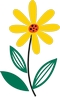 icona fiori a km zero